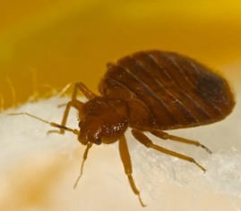 NanoSight customer~ Jason T. – Illinois, USA